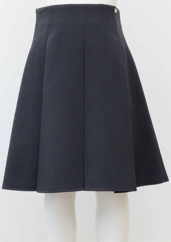 Elisabetta Franchi Pleat skirt