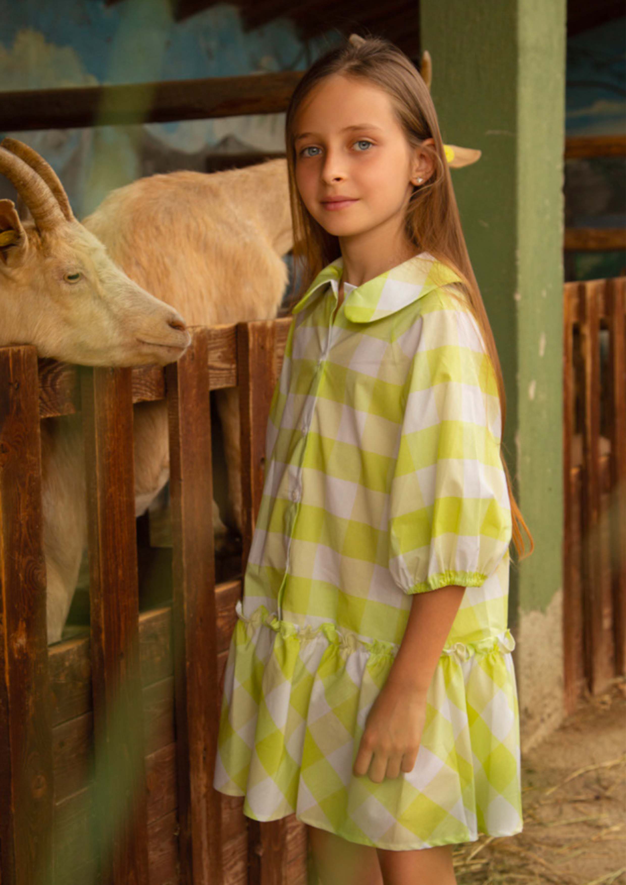 Piccola Ludo Colorado Lime Check Dress
